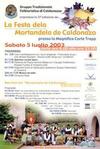 Manifesto 3° edizione 2003.